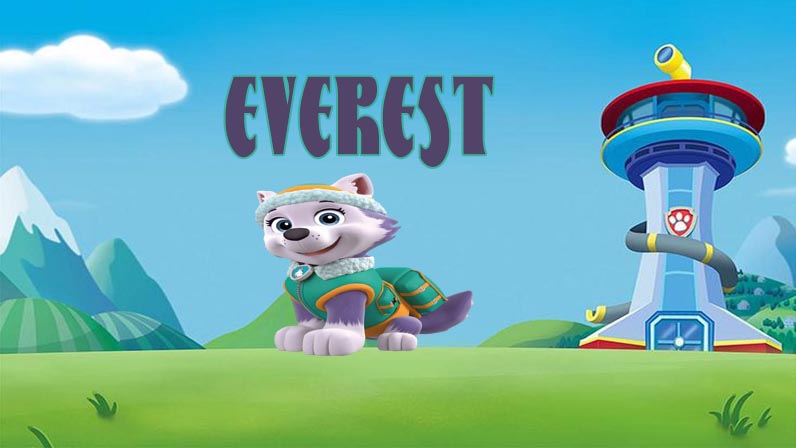 Everest
