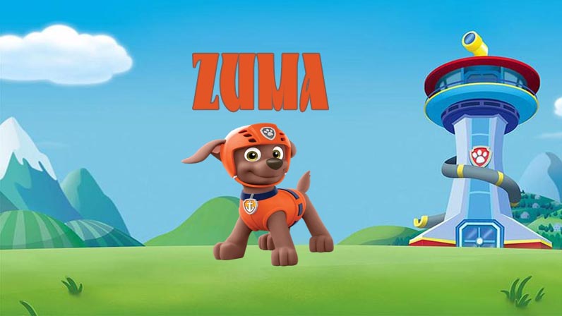 Zuma