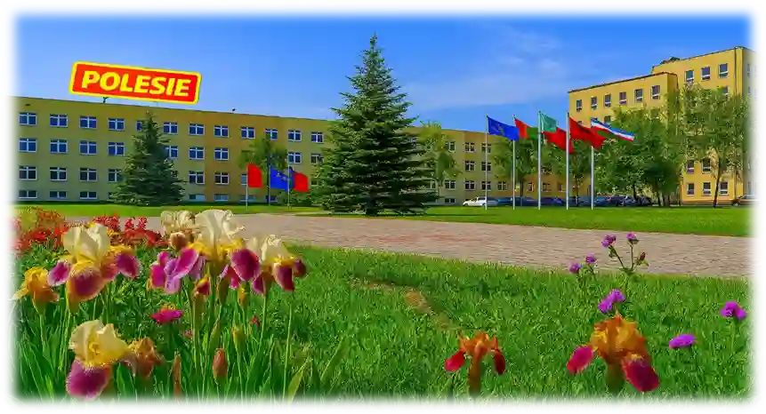 شرکت اسباب بازی POLESIE 