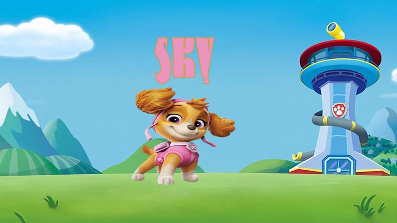 Sky